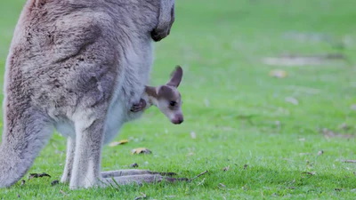 Award-Winning Style for Modern Parents